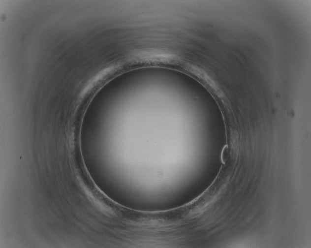 X0000086220629200704051241