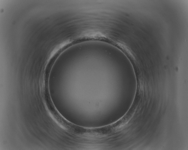 X0000086220630200704051241