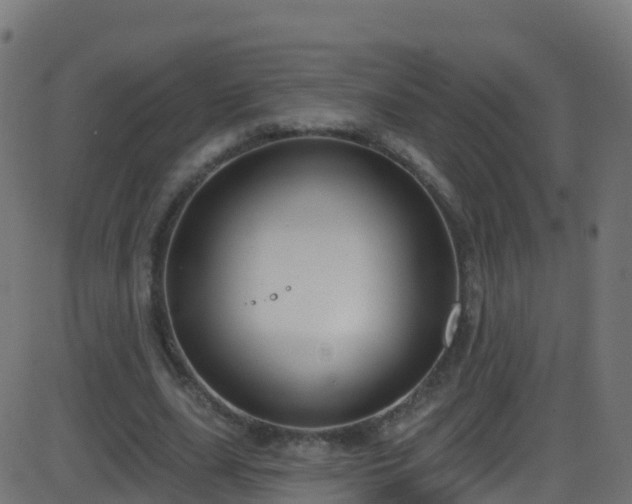 X0000086220631200704051241