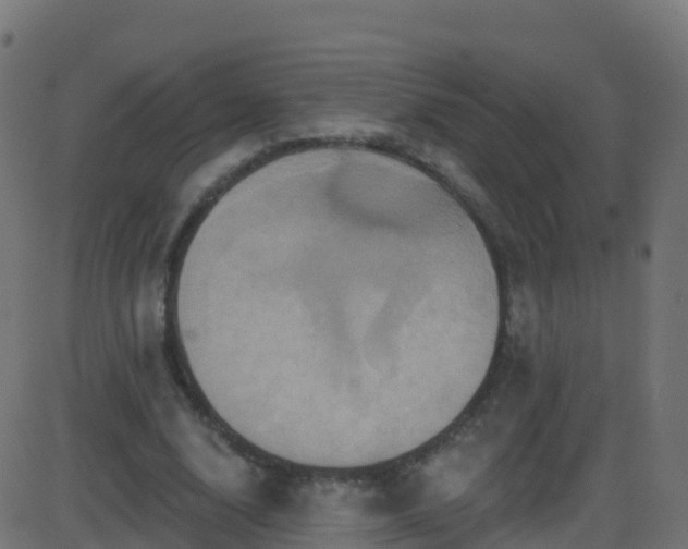 X0000086220632200704051241