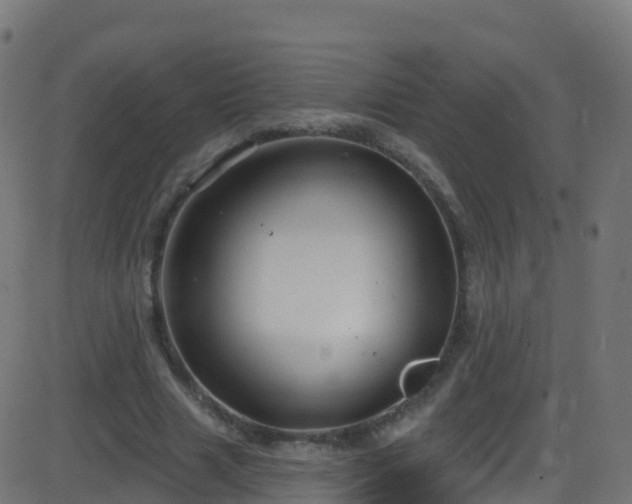 X0000086220633200704051241