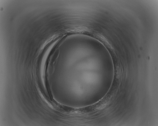 X0000086220634200704051241