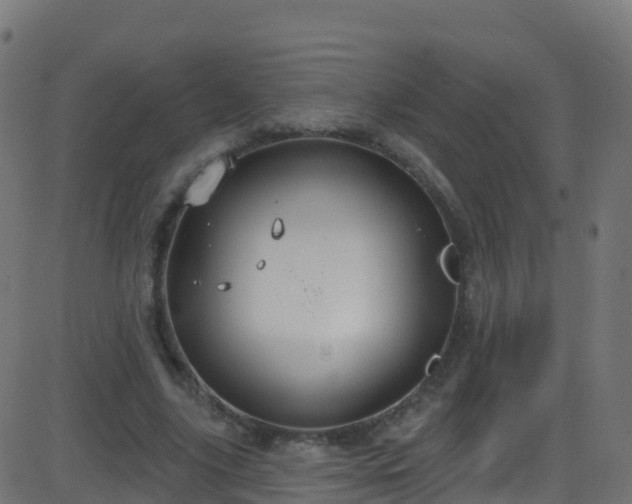 X0000086220635200704051241