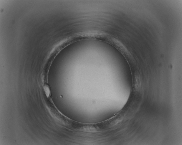 X0000086220636200704051241