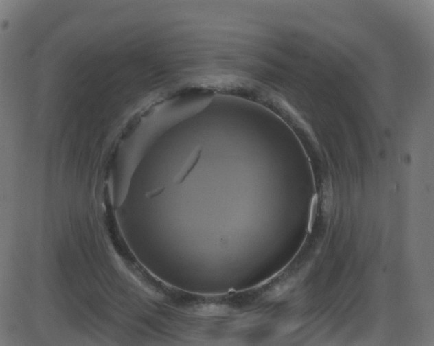 X0000086220637200704051241