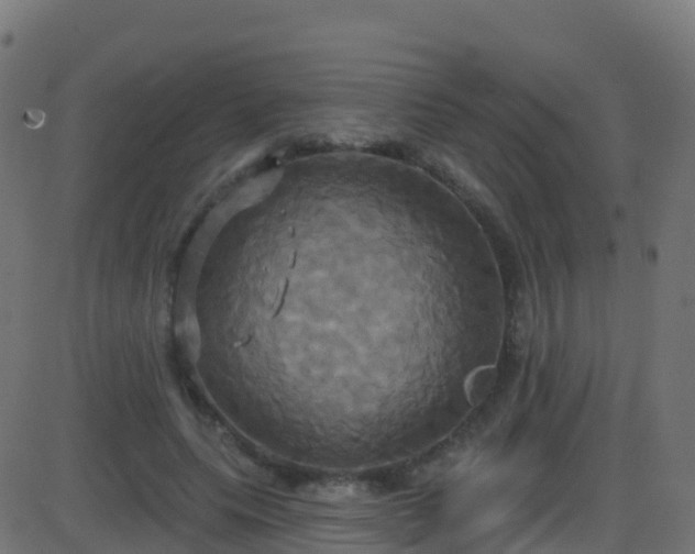 X0000086220639200704051241