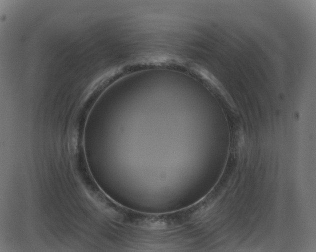 X0000086220640200704051241