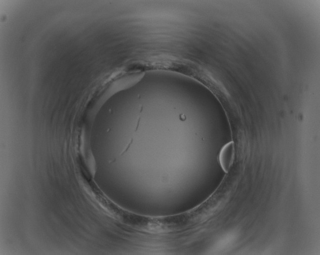 X0000086220641200704051241