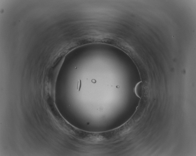 X0000086220642200704051241