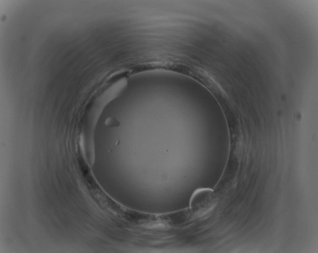 X0000086220643200704051241