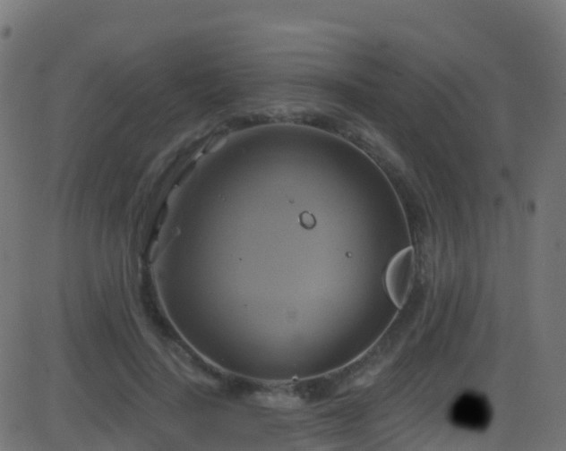 X0000086220644200704051241