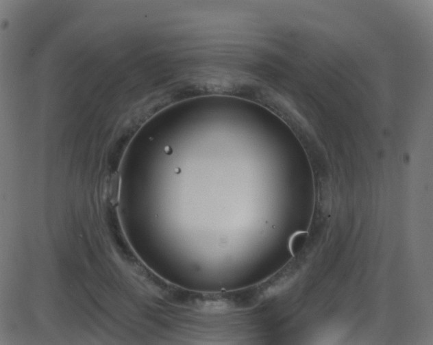 X0000086220645200704051241