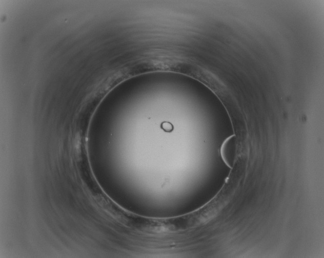 X0000086220646200704051241