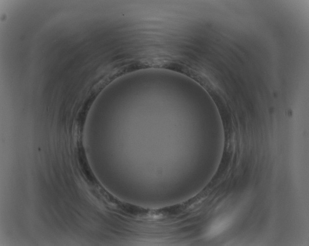 X0000086220647200704051241