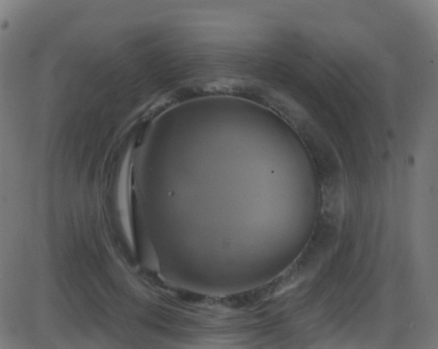 X0000086220648200704051241