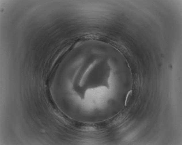 X0000086220649200704051241