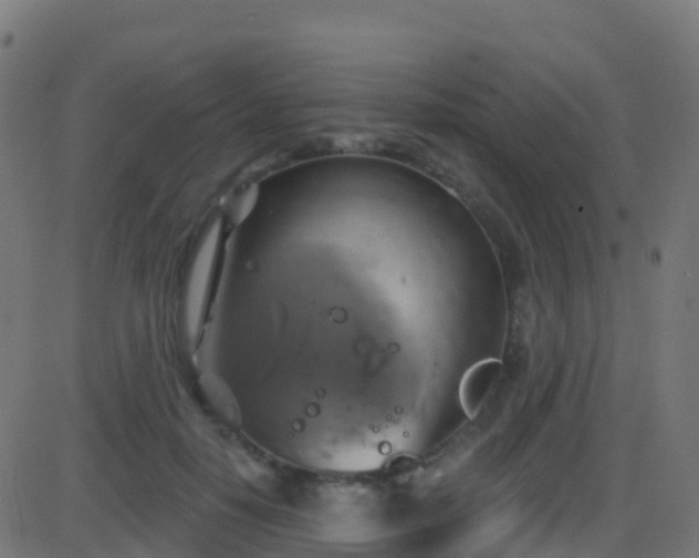 X0000086220650200704051241