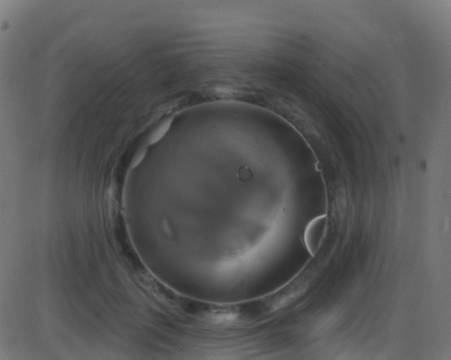 X0000086220651200704051241