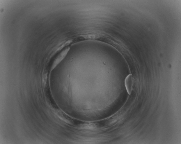 X0000086220652200704051241