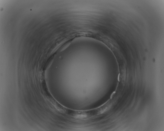 X0000086220653200704051241