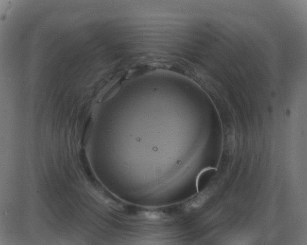 X0000086220654200704051241