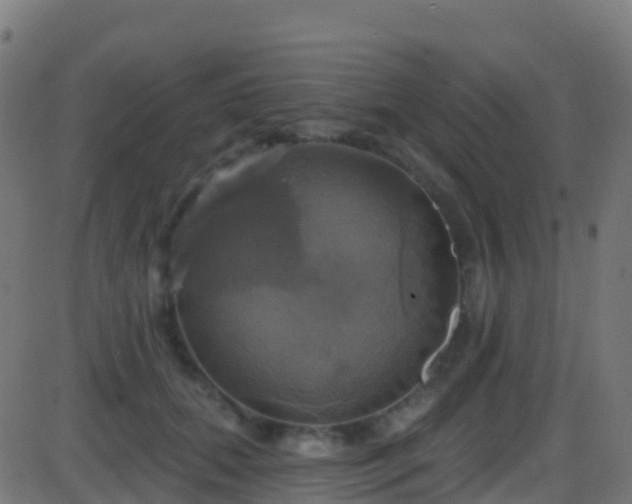 X0000086220655200704051241