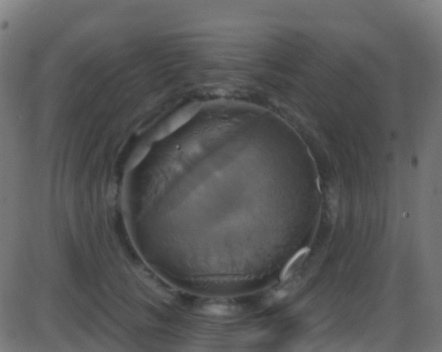 X0000086220657200704051241