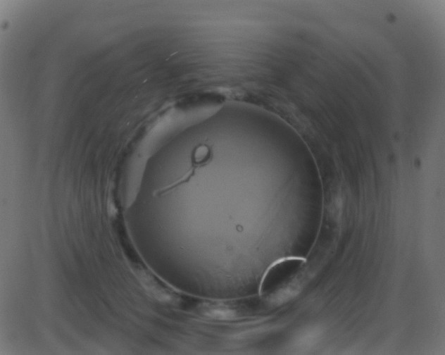 X0000086220658200704051241