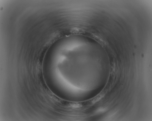 X0000086220659200704051241