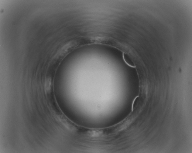 X0000086220660200704051241