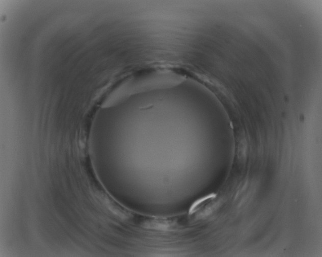 X0000086220661200704051241