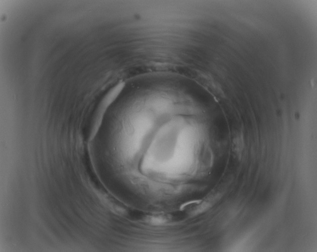 X0000086220662200704051241