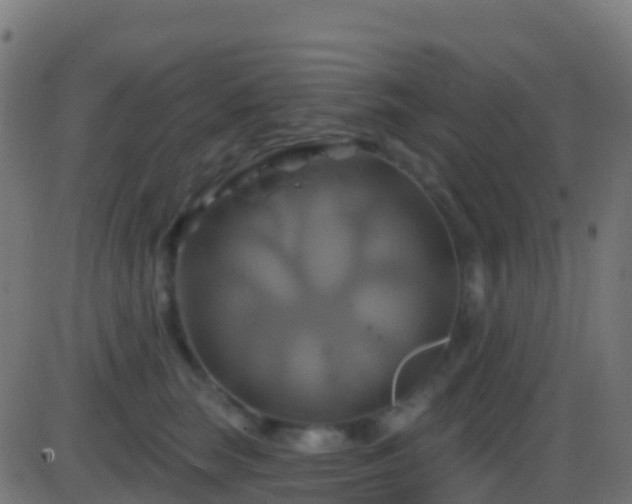 X0000086220663200704051242