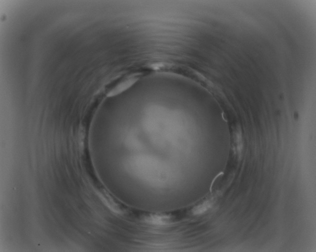 X0000086220664200704051242