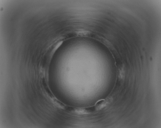 X0000086220666200704051242