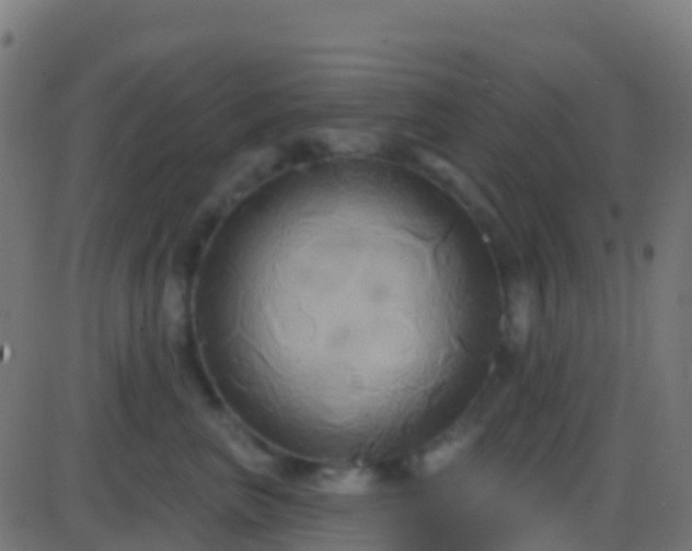 X0000086220667200704051242