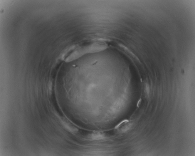 X0000086220668200704051242