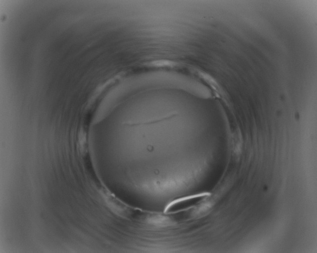 X0000086220669200704051242