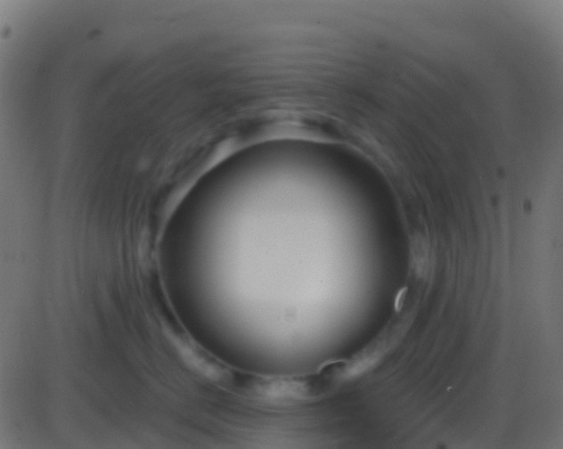 X0000086220670200704051242