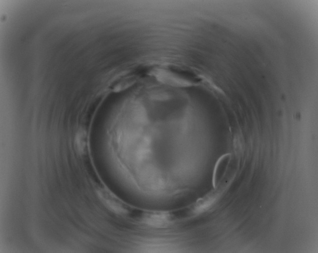 X0000086220671200704051242