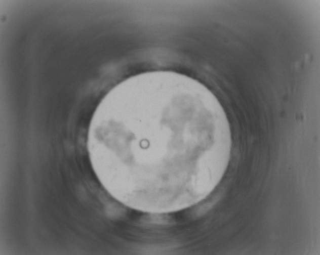 X0000086220672200704051242