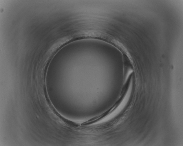 X0000086220673200704051241