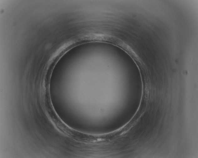 X0000086220674200704051241