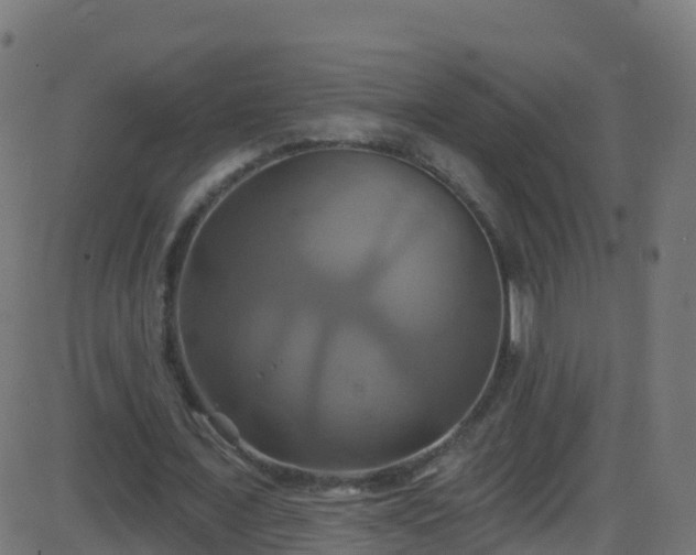 X0000086220675200704051241