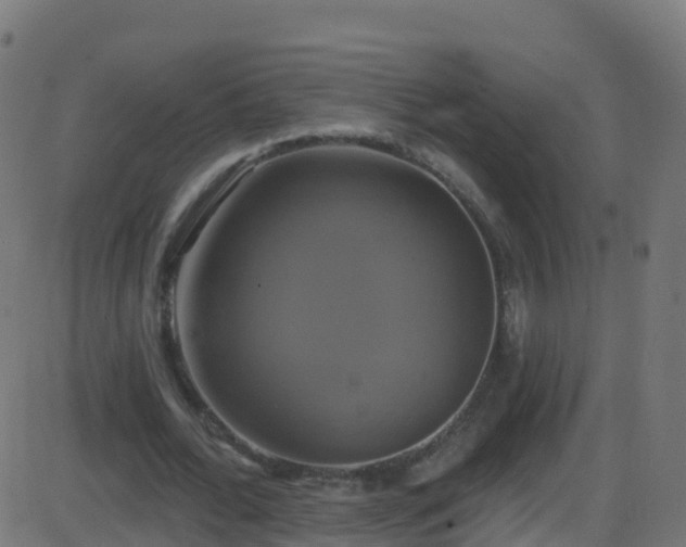 X0000086220676200704051241