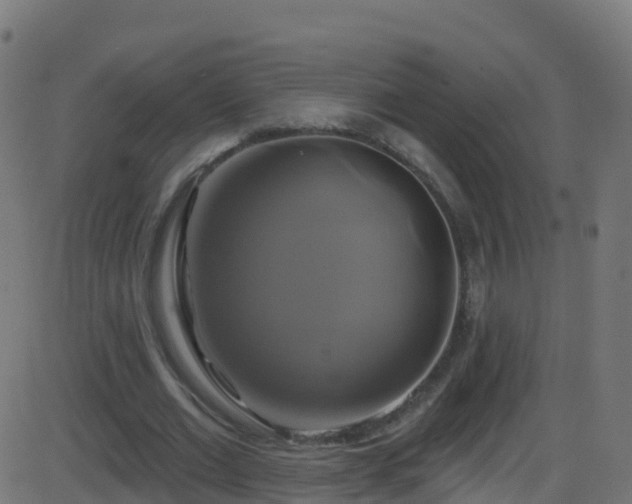 X0000086220677200704051241