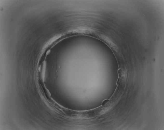 X0000086220678200704051241