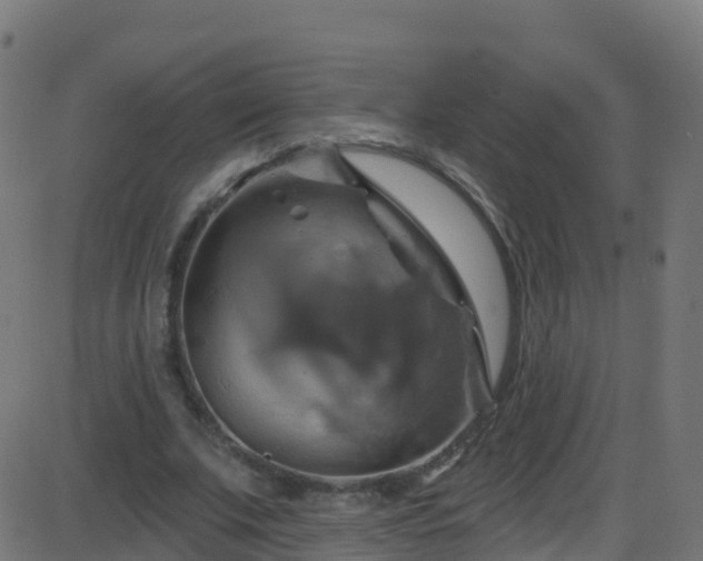 X0000086220679200704051241