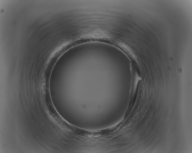 X0000086220680200704051241