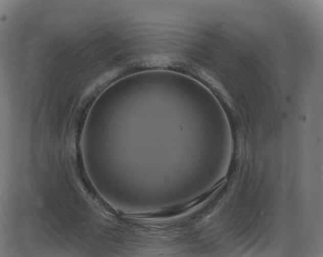 X0000086220681200704051241